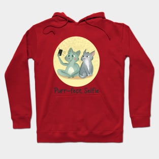 Selfie cat Hoodie